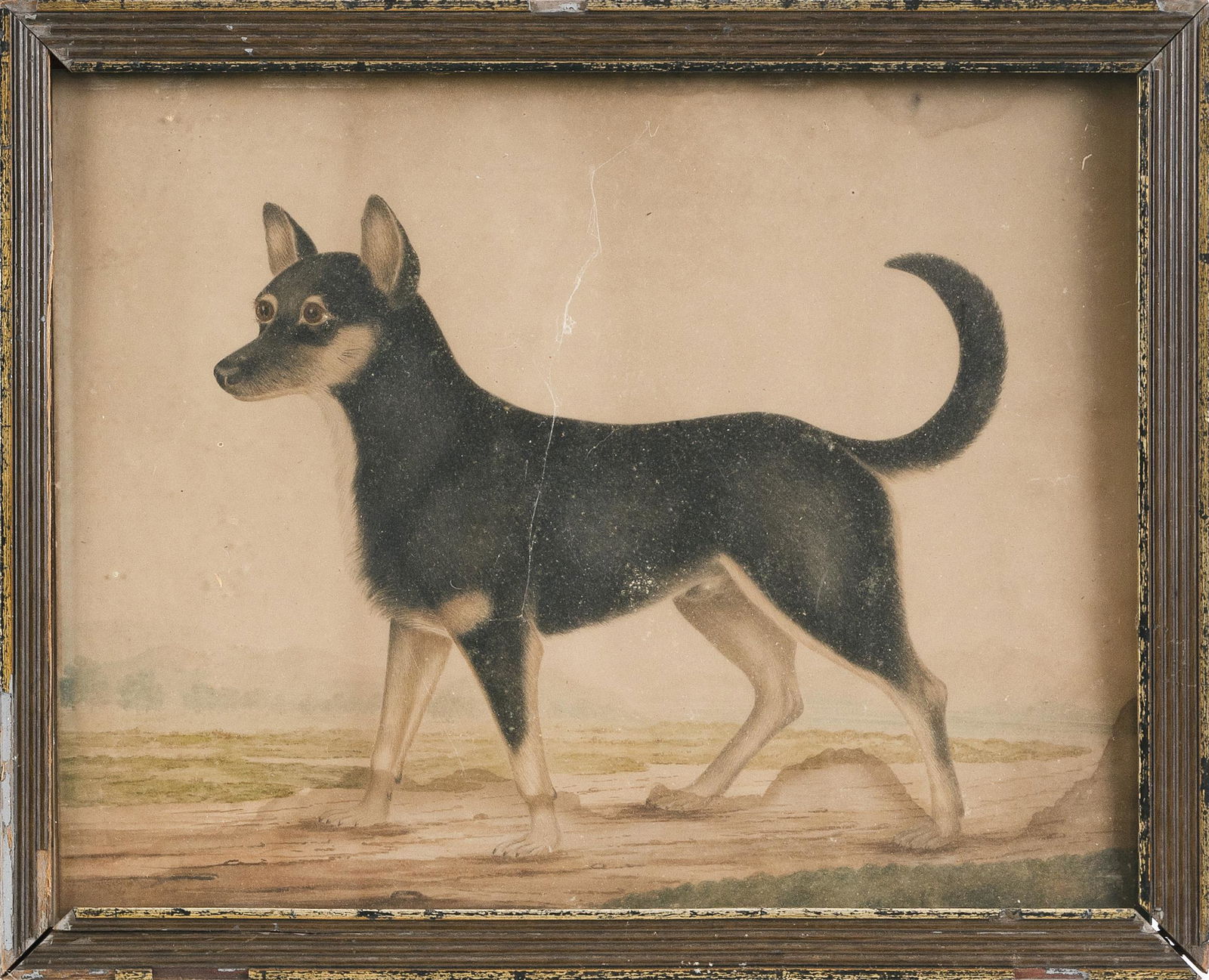 AMERICAN SCHOOL (19th Century,), Portrait of a dog., (1 of 2)