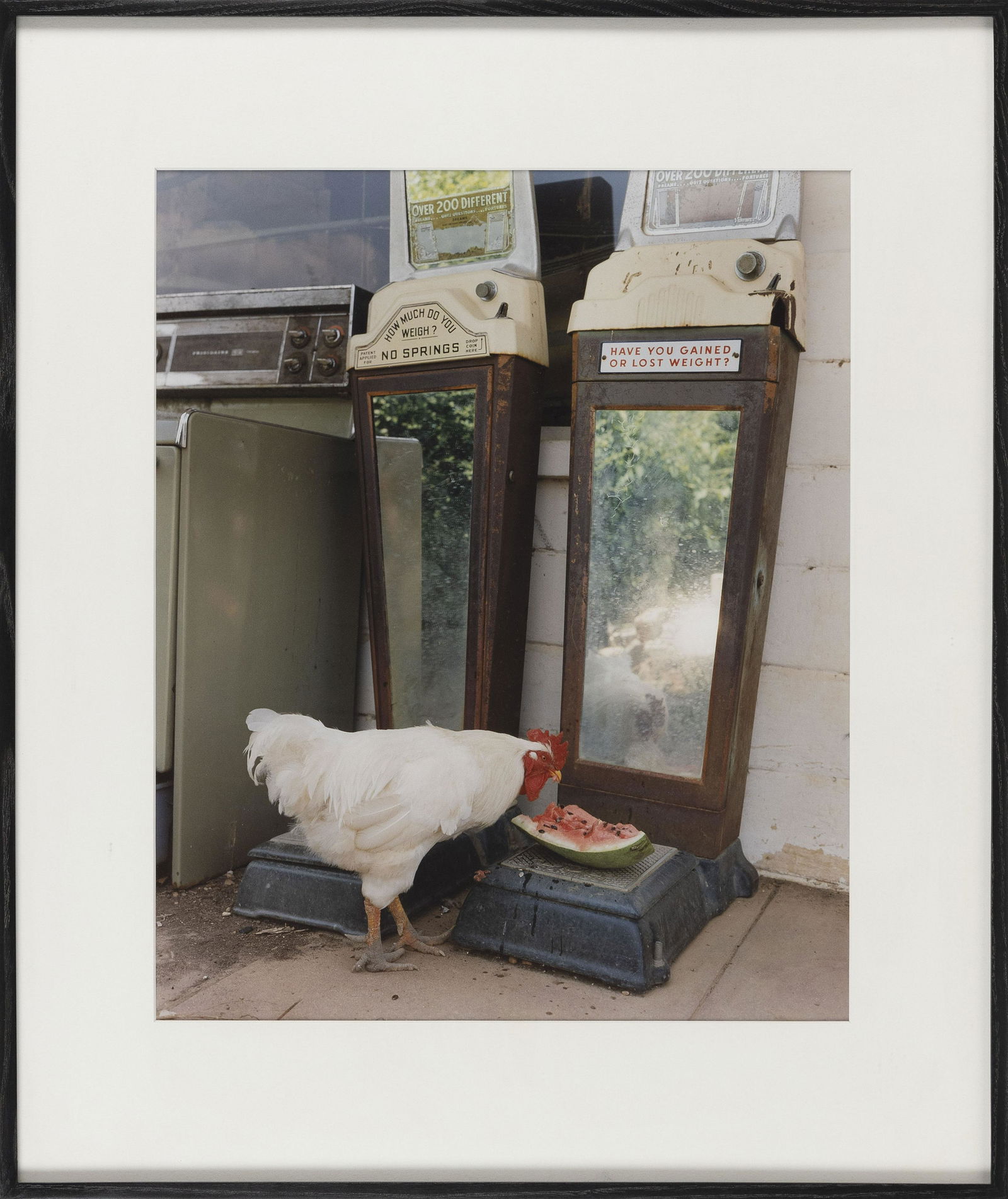 BARNEY ILMES (Missouri, b. 1951), "Rooster near (1 of 2)