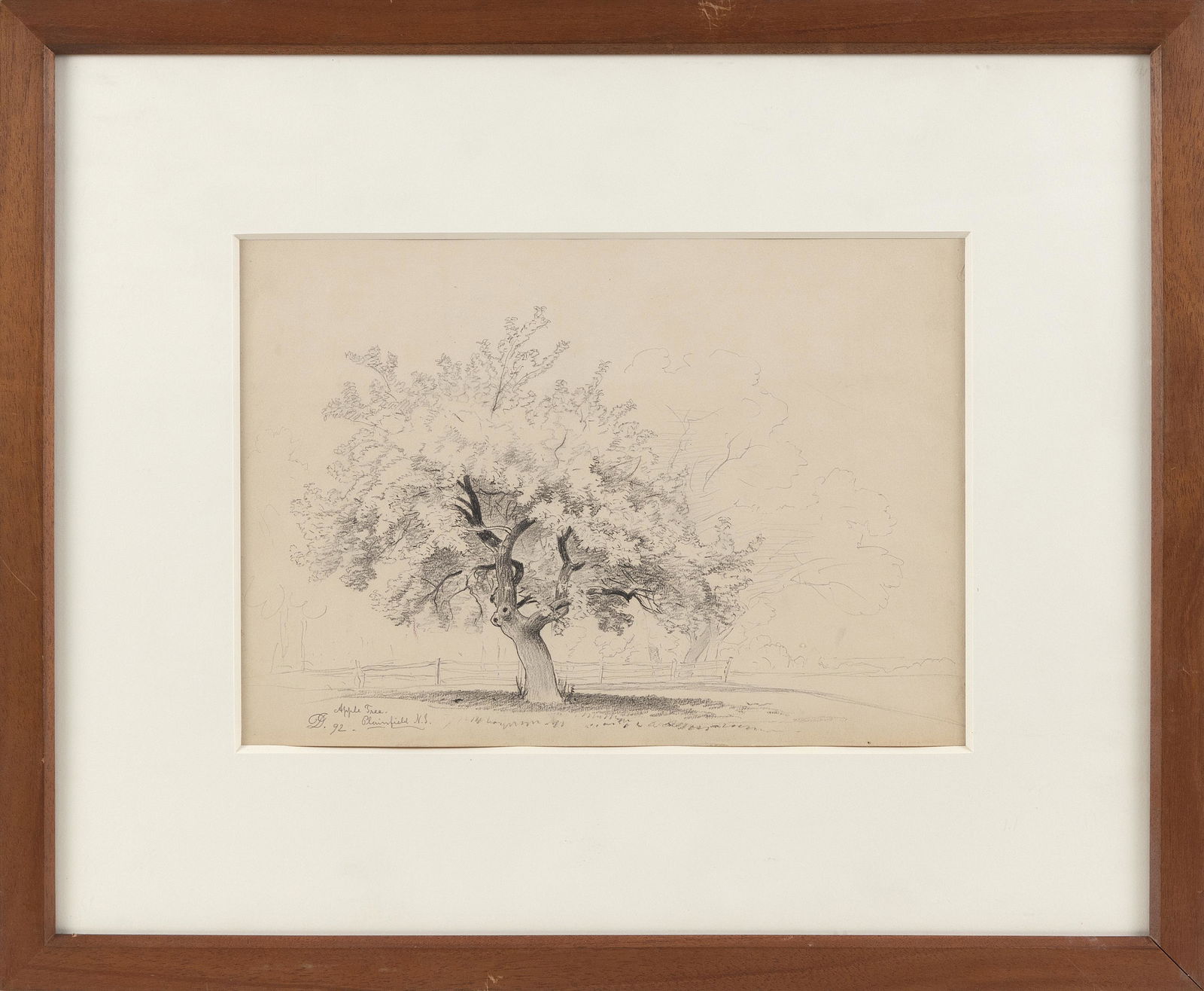DAVID JOHNSON (New York, 1827-1908), “Apple Tree: DAVID JOHNSONNew York, 1827-1908“Apple Tree Plainfield N.J.”. Titled, monogrammed and dated lower left “DJ 92”.Pencil on paper, 9” x 12.75” sight. Framed 17.75̶