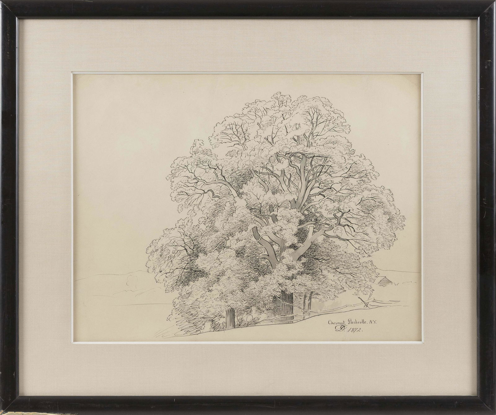DAVID JOHNSON (New York, 1827-1908), "Chestnut,: DAVID JOHNSONNew York, 1827-1908"Chestnut, Dashville, NY". Titled, monogrammed and dated 1872 lower right.Pencil on paper, 14" x 18" sight. Framed 21.5" x 26".