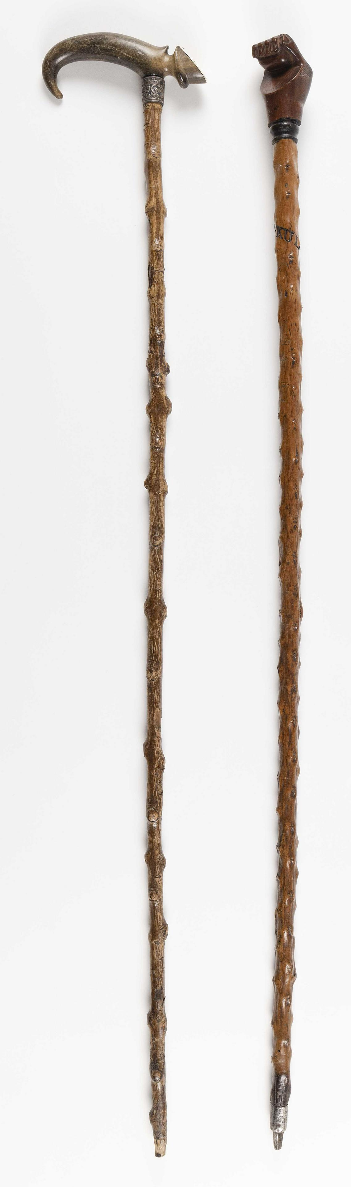 TWO WALKING STICKS Late 19th/Early 20th Century (1 of 1)