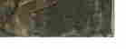 item-119697982=2