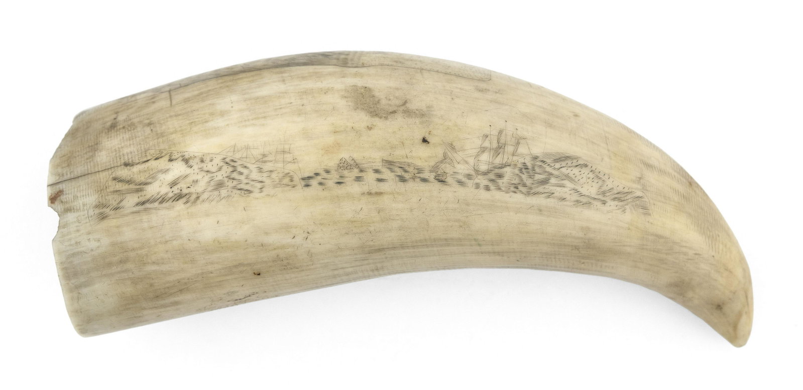 SCRIMSHAW WHALE’S TOOTH WITH WHALING MOTIFS: SCRIMSHAW WHALE’S TOOTH WITH WHALING MOTIFS Mid-19th Century Obverse depicts a coastal whaling scene, possibly in the Arctic, with a surfaced sperm whale off the bow of a whaleship. Masts of oth