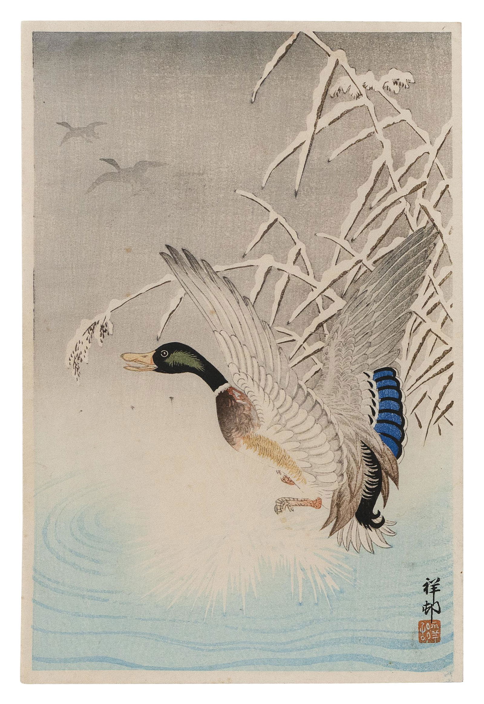 OHARA KOSON (Japan, 1877-1945), Wild goose taking flight from a pond near snow-covered grasses., (1 of 2)