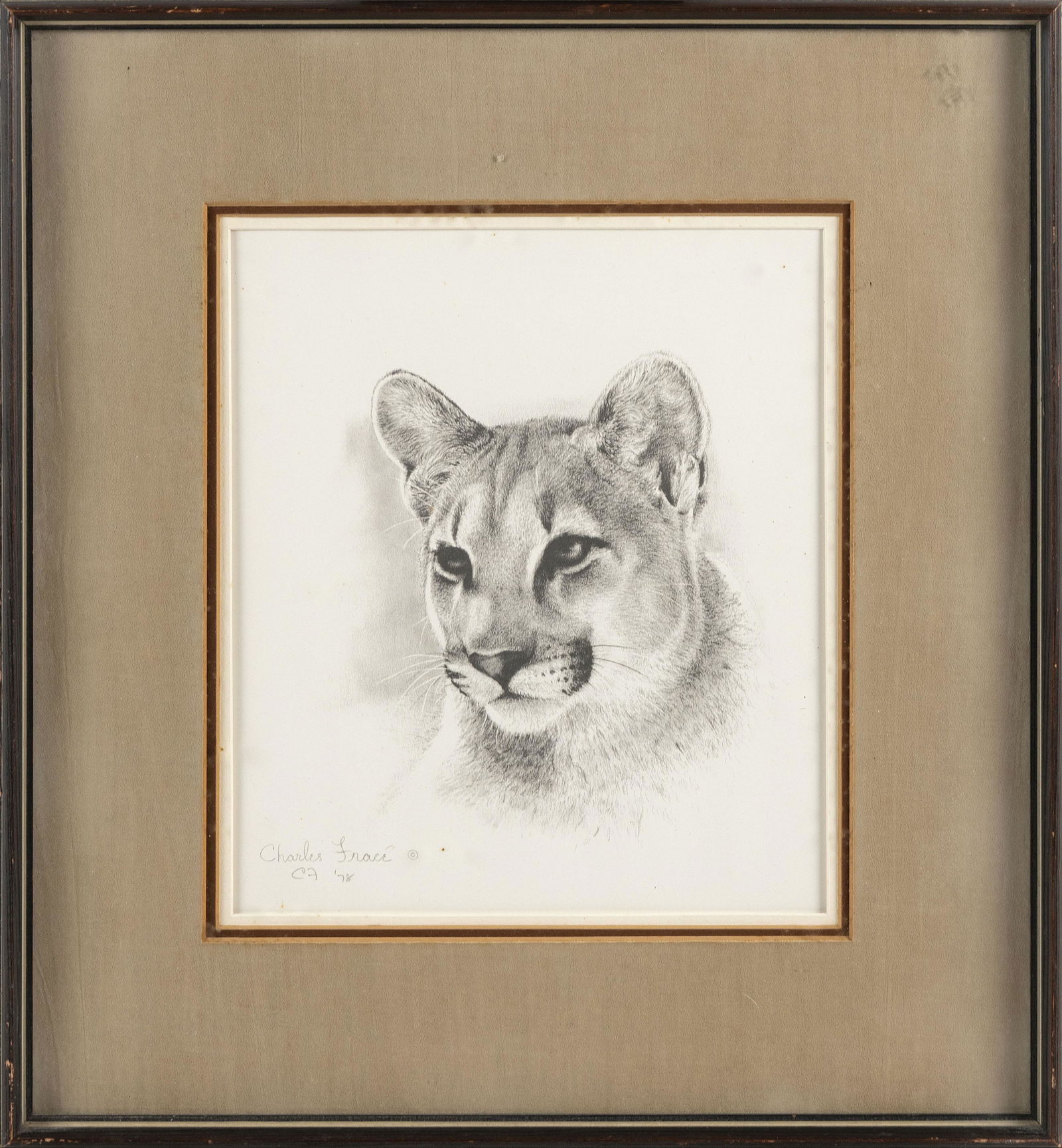 CHARLES FRACE (Tennessee, 1926-2005), Sketch of a mountain lion., Pencil, 11” x 9”. (1 of 2)