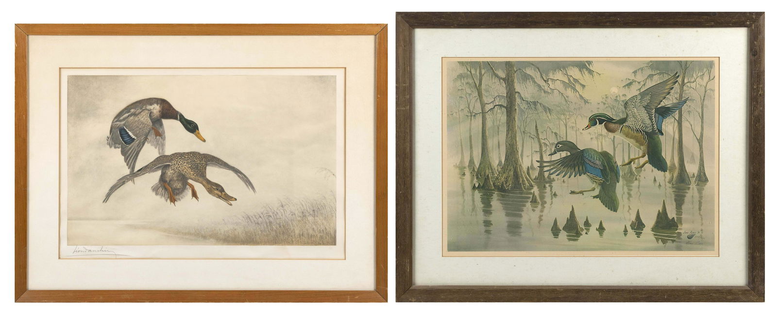 TWO PRINTS OF DUCKS 20th Century (1 of 5)