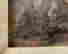 item-128163320=3