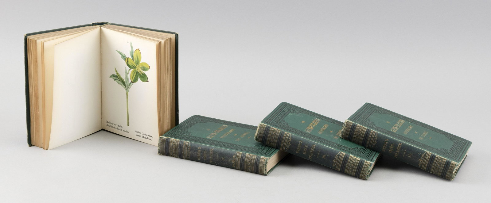 RARE EARLY EDITION J.C. WEBER’S "ALPEN PFLANZEN" 1880 Heights 5.75”.: RARE EARLY EDITION J.C. WEBERâ€™S "ALPEN PFLANZEN" 1880 Deutschland und Der Schweiz . Munich: Christian Kaiser, 1880. Four vols. Hand-colored botanical plates. Heights 5.75”.