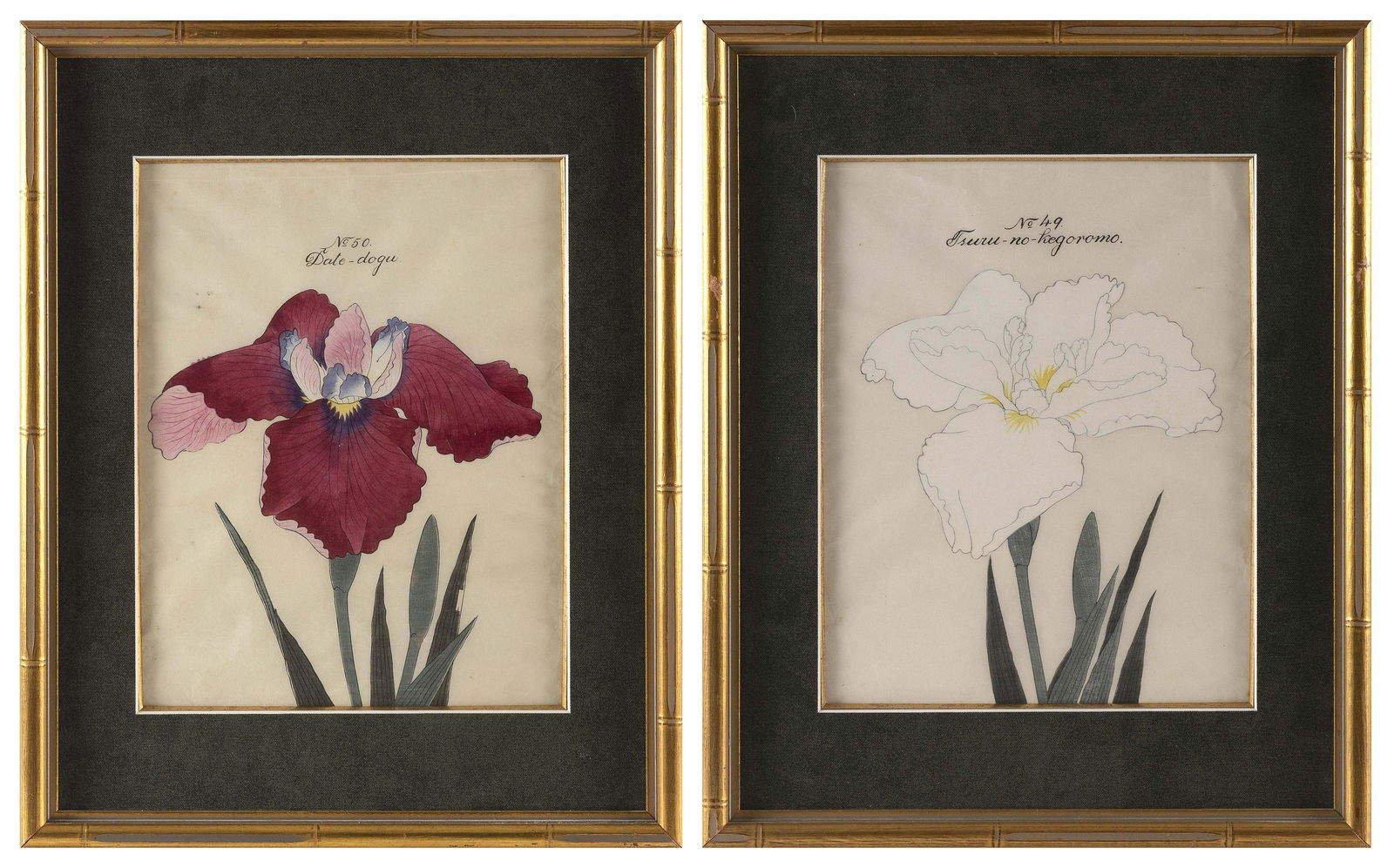 JAPANESE SCHOOL (Late 19th Century,), Pair of Yokohama Nursery Advertising Irises, 1893., (1 of 5)