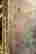 item-131372690=5