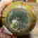 item-131372711=5