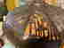 item-131372773=9