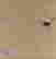 item-131372905=2
