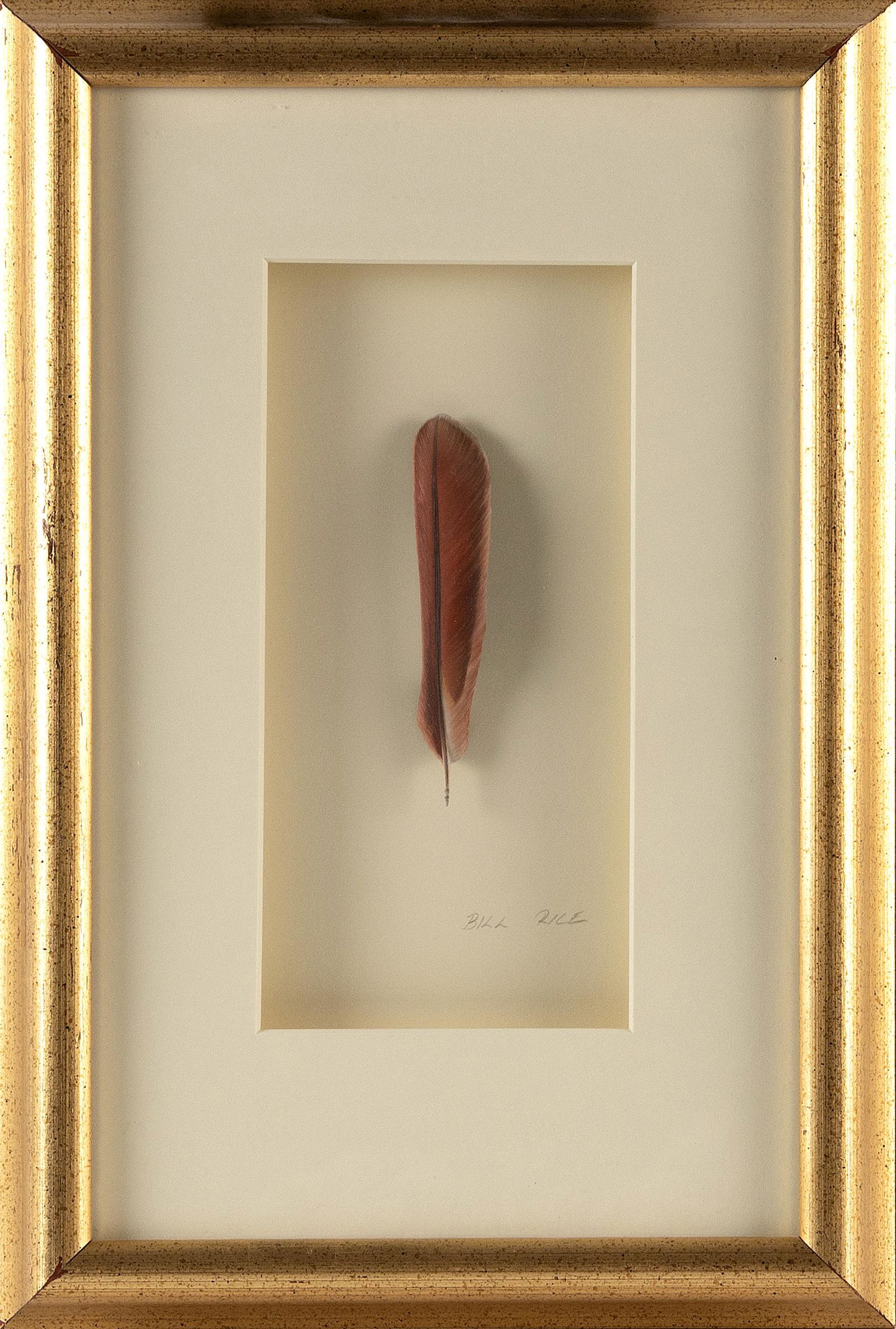 BILL J. RICE (Connecticut, b. 1952), "Cardinal Feather"., Carved and painted bass wood, length 4.5". (1 of 2)
