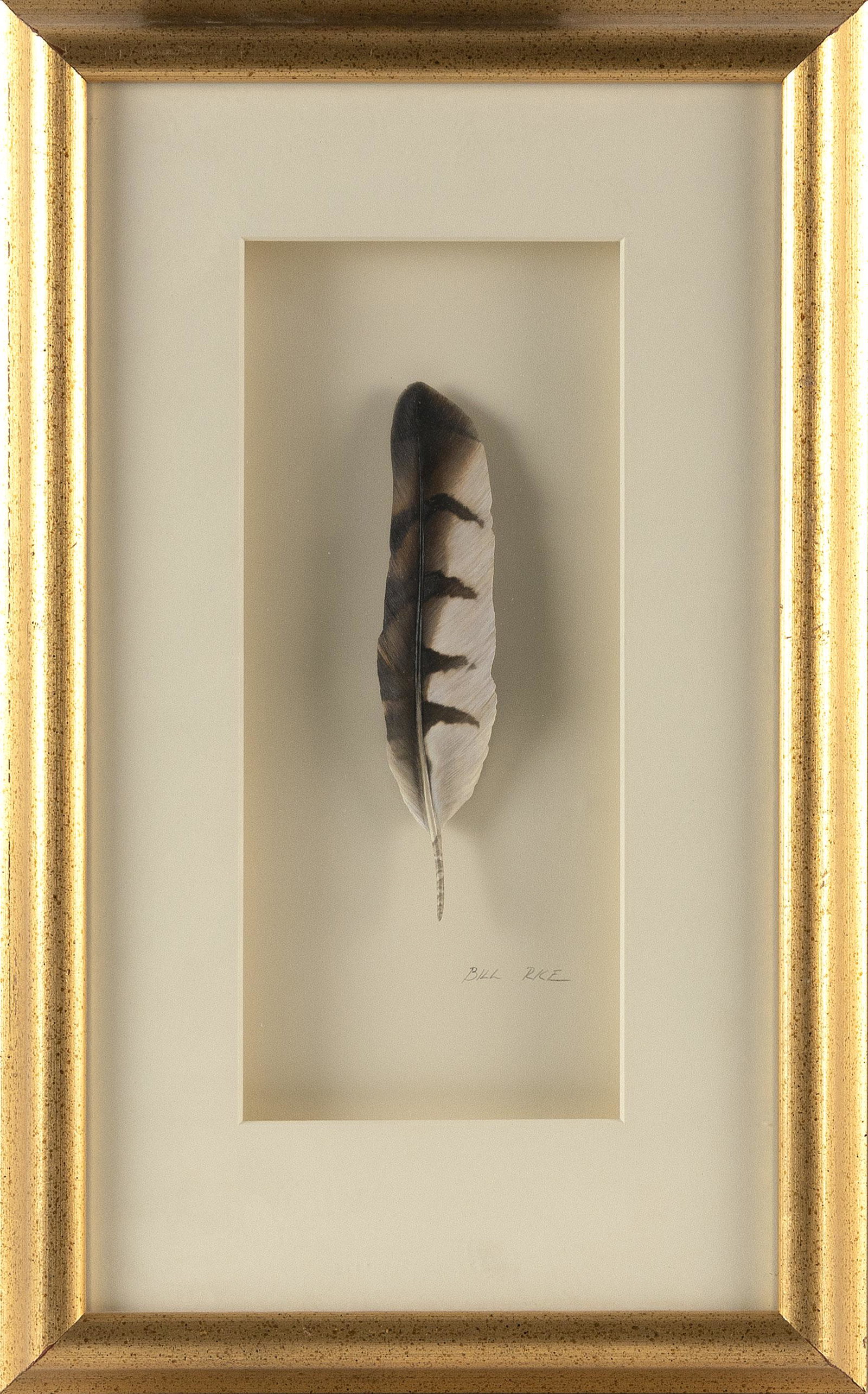 BILL J. RICE (Connecticut, b. 1952), "Hen Coopers Hawk Feather"., Carved and painted bass wood, (1 of 2)