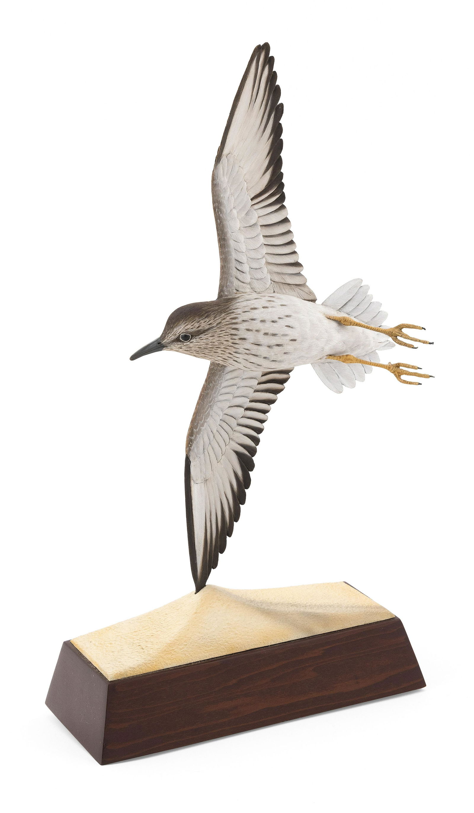 ERIC KAISER LIFE-SIZE LEAST SANDPIPER Cotuit, Massachusetts, b. 1952 Height 14”. (1 of 3)