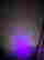 item-131374057=6