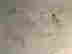 item-131374076=14