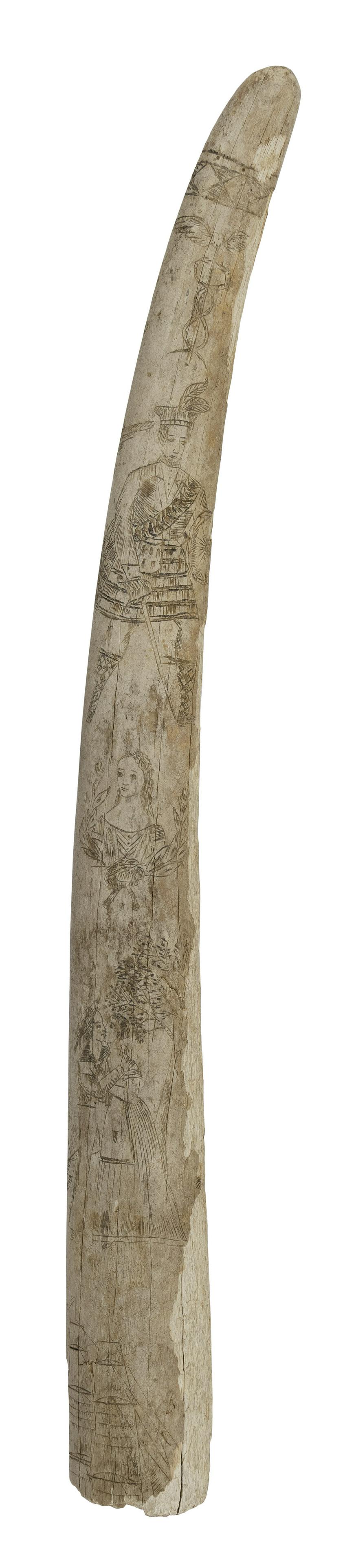SCRIMSHAW WALRUS TUSK 19th Century Length 21".: SCRIMSHAW WALRUS TUSK 19th Century Petrified condition. Accompanying old label indicates it was found in the Alaskan Tundra by a bush pilot. Nearly entirely covered with a variety of deeply engraved i