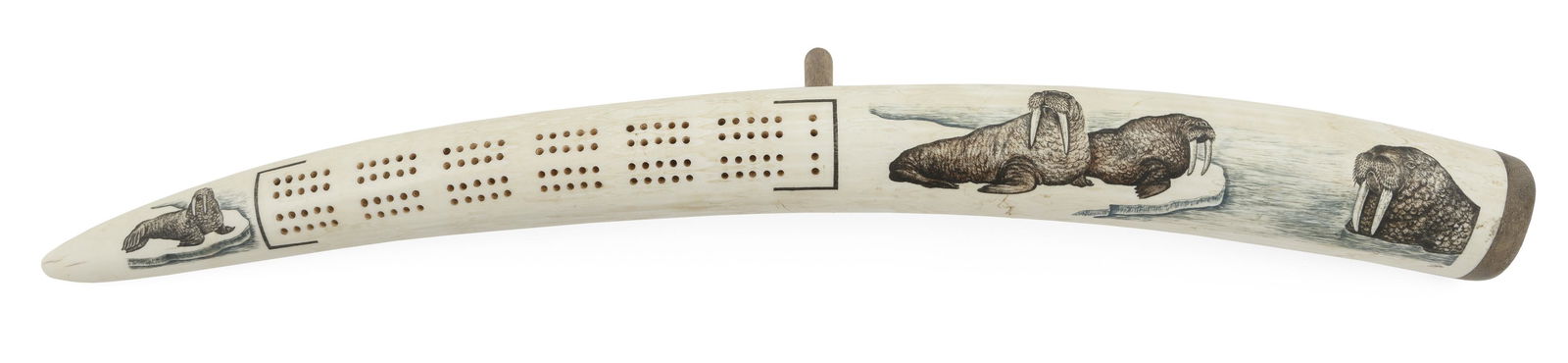 INUIT WALRUS TUSK CRIBBAGE BOARD Late 20th Century Length 17".: INUIT WALRUS TUSK CRIBBAGE BOARDLate 20th CenturyPolychrome engraved decoration of walrus sitting on ice floes. Drilled cribbage board. Mahogany end cap and peg stand. Includes four pegs.Length 17&quo