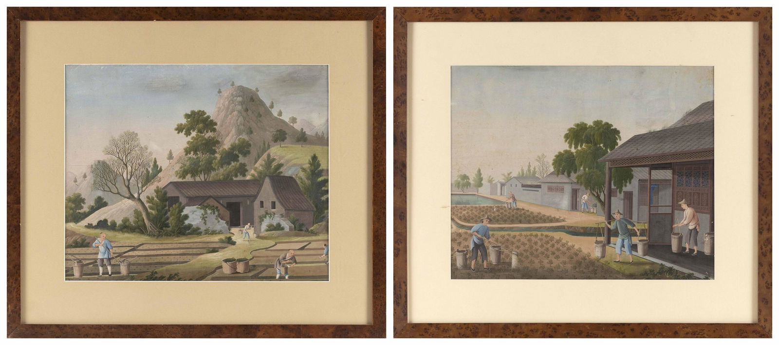CHINESE SCHOOL (Circa 1810,), A pair of works depicting tea cultivation., Watercolors and gouaches (1 of 5)
