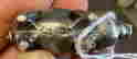 item-133258301=3