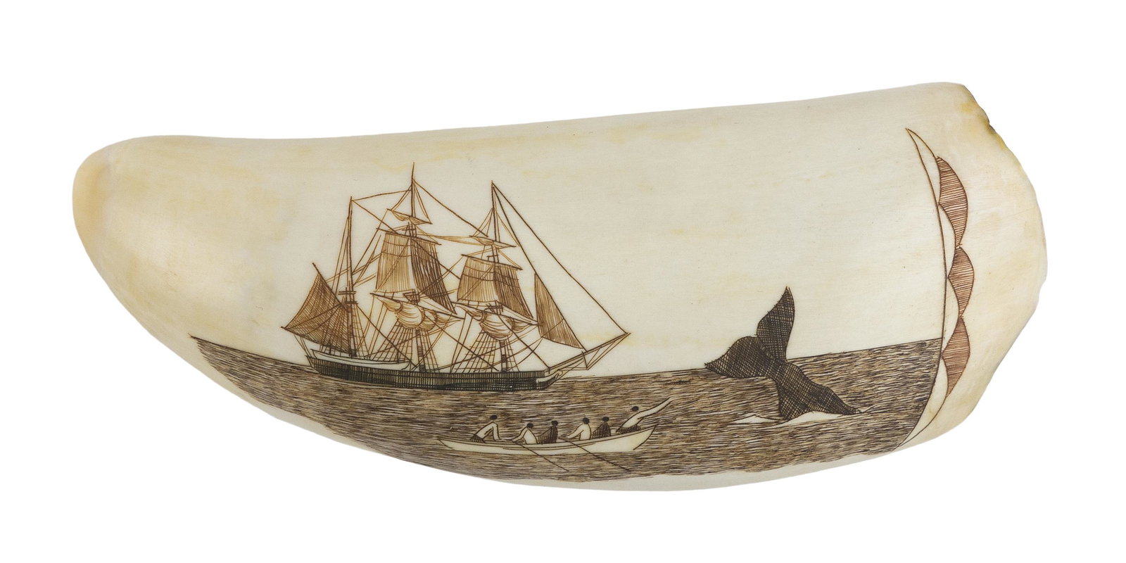 * POLYCHROME ENGRAVED WHALE'S TOOTH BY ROBERT SPRING 20th Century Length 4.25".: * POLYCHROME ENGRAVED WHALE'S TOOTH BY ROBERT SPRING 20th Century Depicts a whaling scene. Signed "R. Spring" and dated "74" on reverse. * Per Federal Regulation, this item may onl