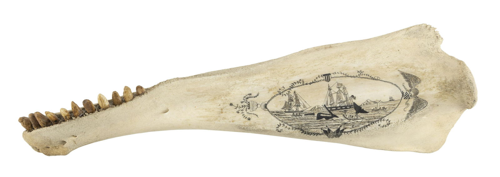 * ENGRAVED BLACKFISH JAWBONE BY J.R. LAUBIN 20th Century Length 22.5". (1 of 2)
