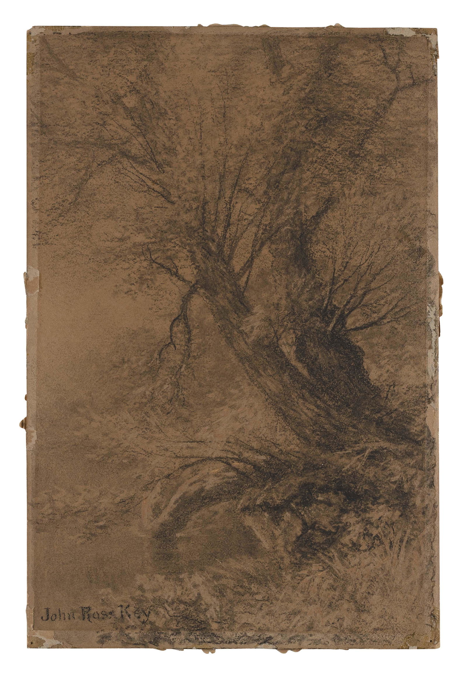 JOHN ROSS KEY (Maryland/Washington, D.C., 1837-1920), Tree study., Pencil and charcoal on paper (1 of 1)