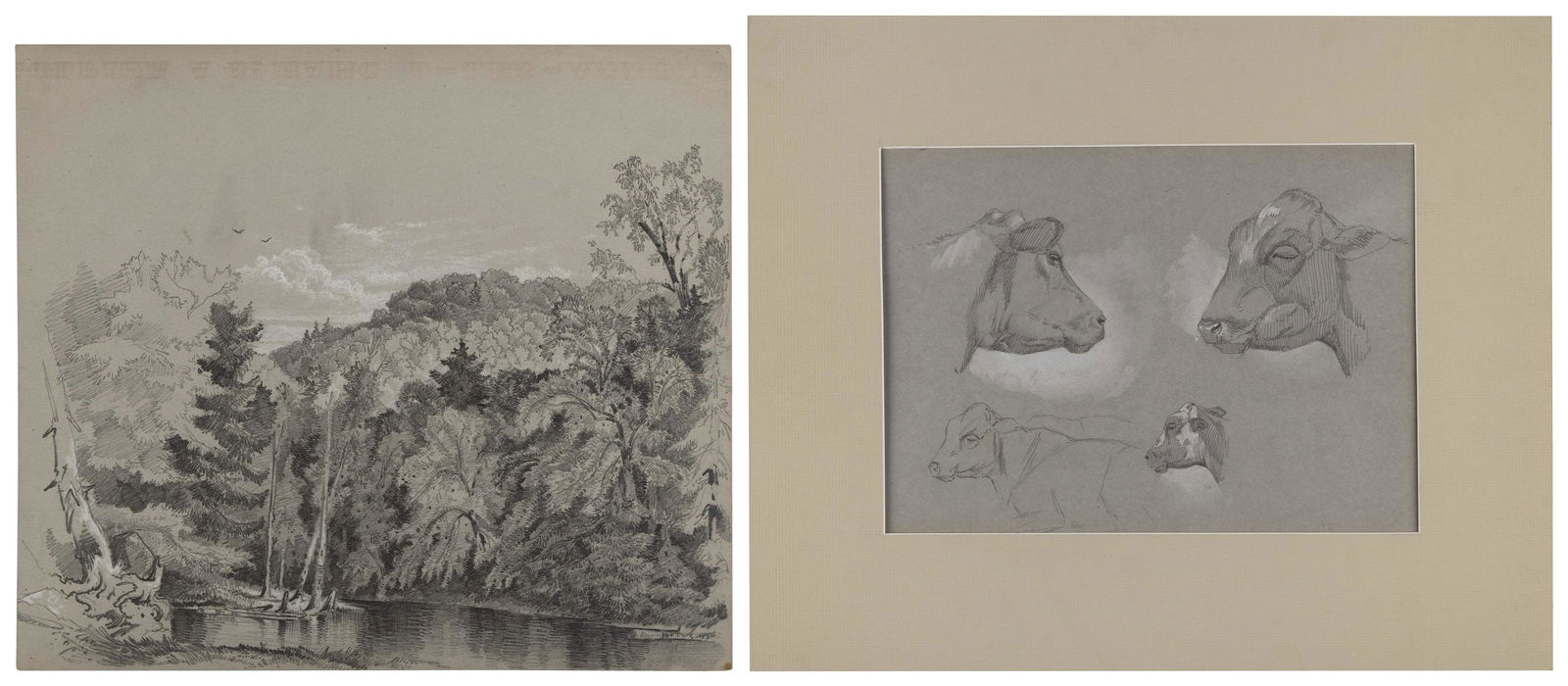 PETER MORAN (Pennsylvania, 1841-1914), Two pencil drawings:, Matted 15" x 18".: PETER MORANPennsylvania, 1841-1914Two pencil drawings: 1) Fork in the stream, circa 1875. Unsigned. With gouache additions on gray wove paper, 9.75" x 11.25".2) Cow studies. Unsigned. With g