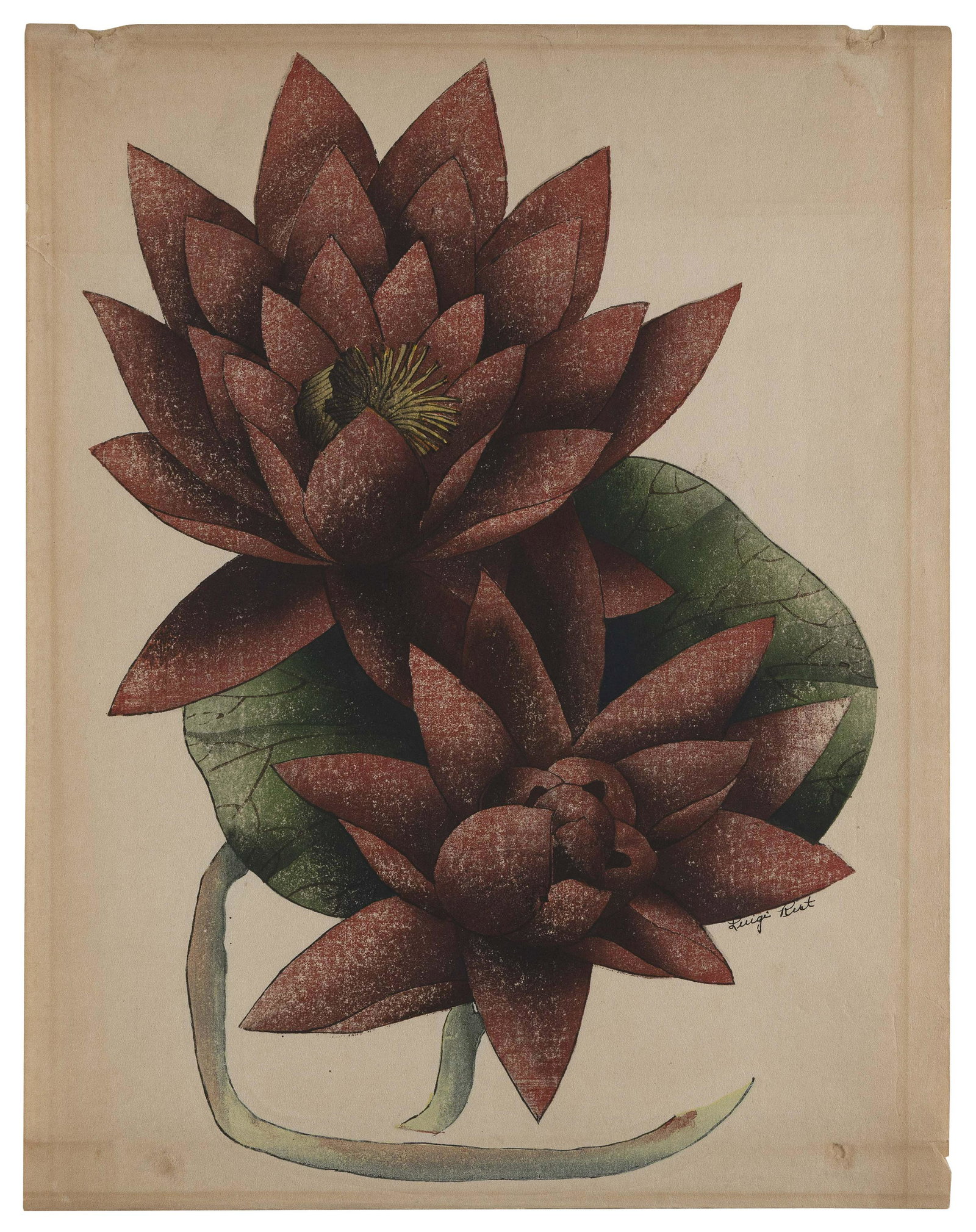 LUIGI RIST (New Jersey/Vermont, 1888-1959), “Pond Lilies”., Color woodcut, sheet size: LUIGI RISTNew Jersey/Vermont, 1888-1959“Pond Lilies”. Signed in ink within the image lower right. Titled in pencil lower left.Color woodcut, sheet size 16” x 10.75”. Unframed.