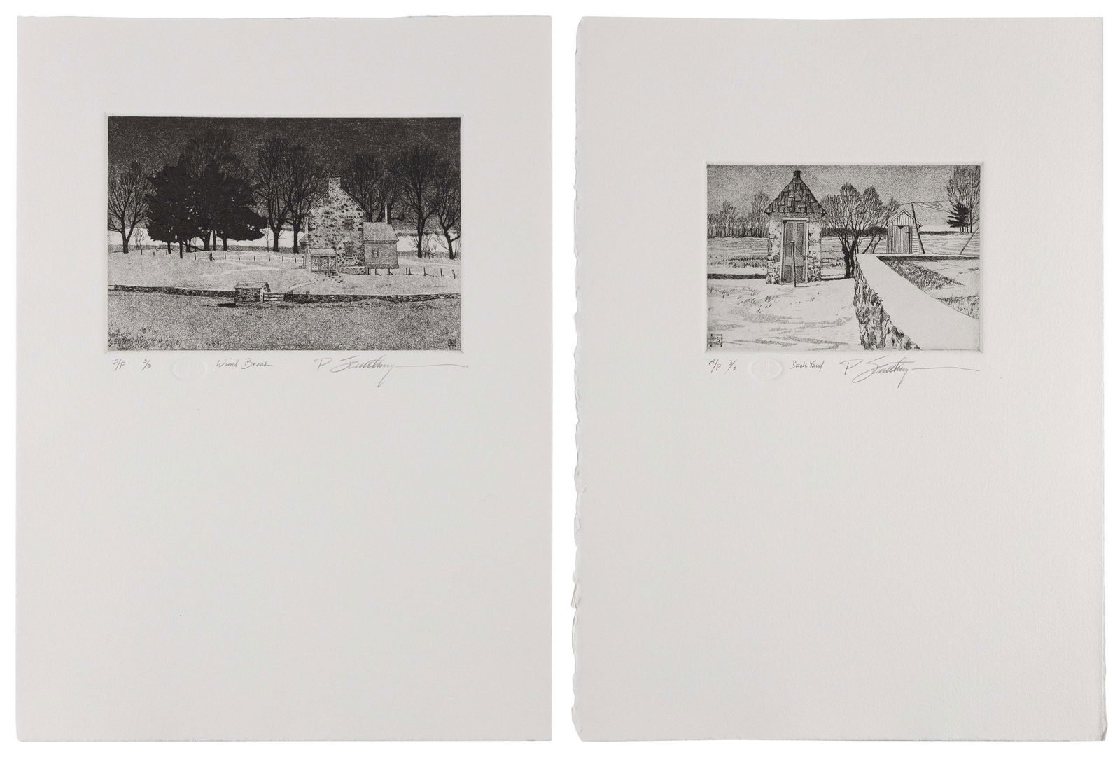 PETER SCULTHORPE (Ontario, Canada/Pennsylvania, b. 1948), Two etchings:, Sheet sizes 15” x (1 of 1)