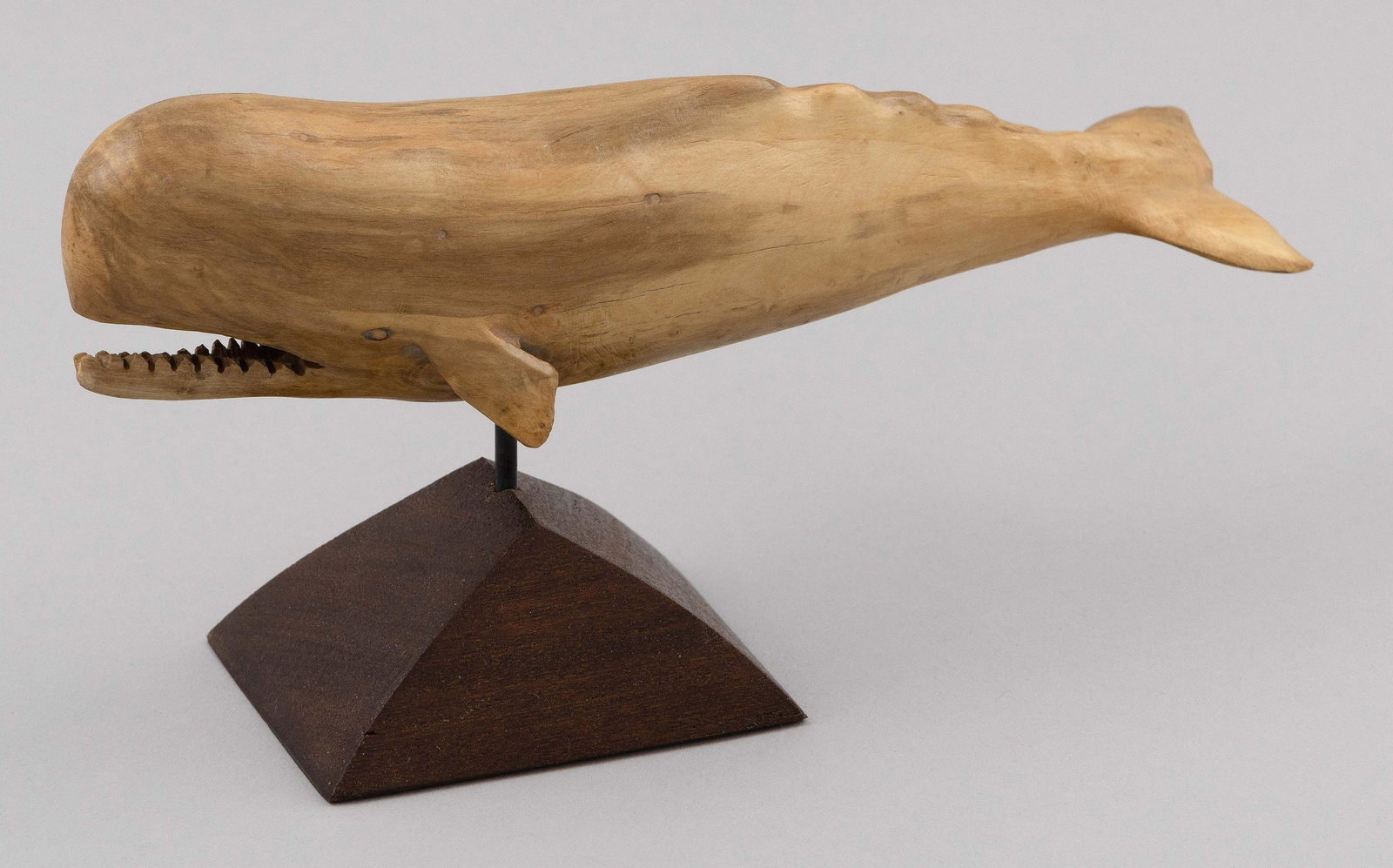 FRANK S. FINNEY CARVED WOODEN SPERM WHALE Contemporary Length 9”.: FRANK S. FINNEY CARVED WOODEN SPERM WHALEContemporaryCarved signature on underside “FF”.Length 9”.