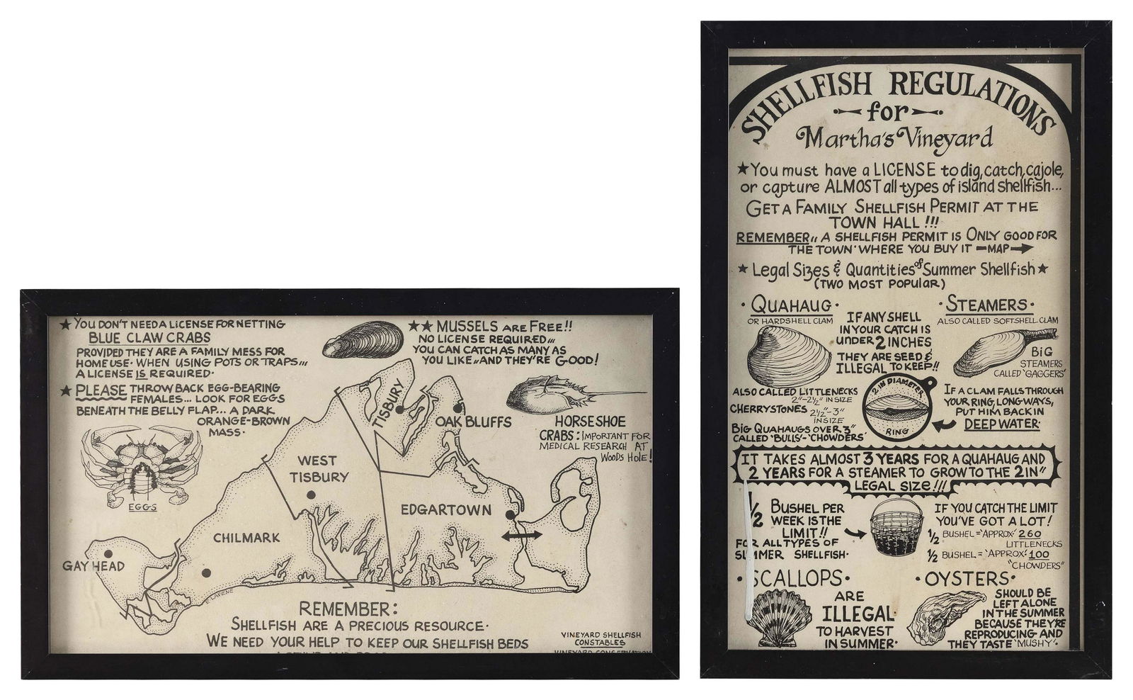 TWO NOTICES PERTAINING TO MARTHA’S VINEYARD SHELLFISH REGULATIONS 20th Century 13.5” x (1 of 1)