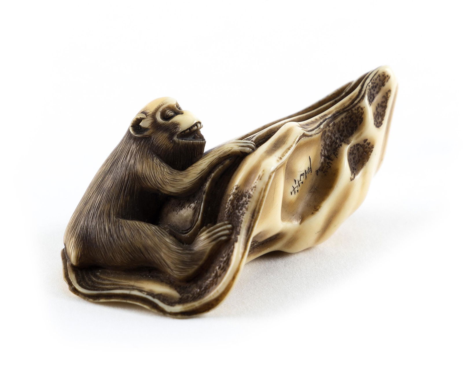 JAPANESE CARVED IVORY NETSUKE BY HIDEMASA Mid-19th Century Length 2.5". (1 of 4)