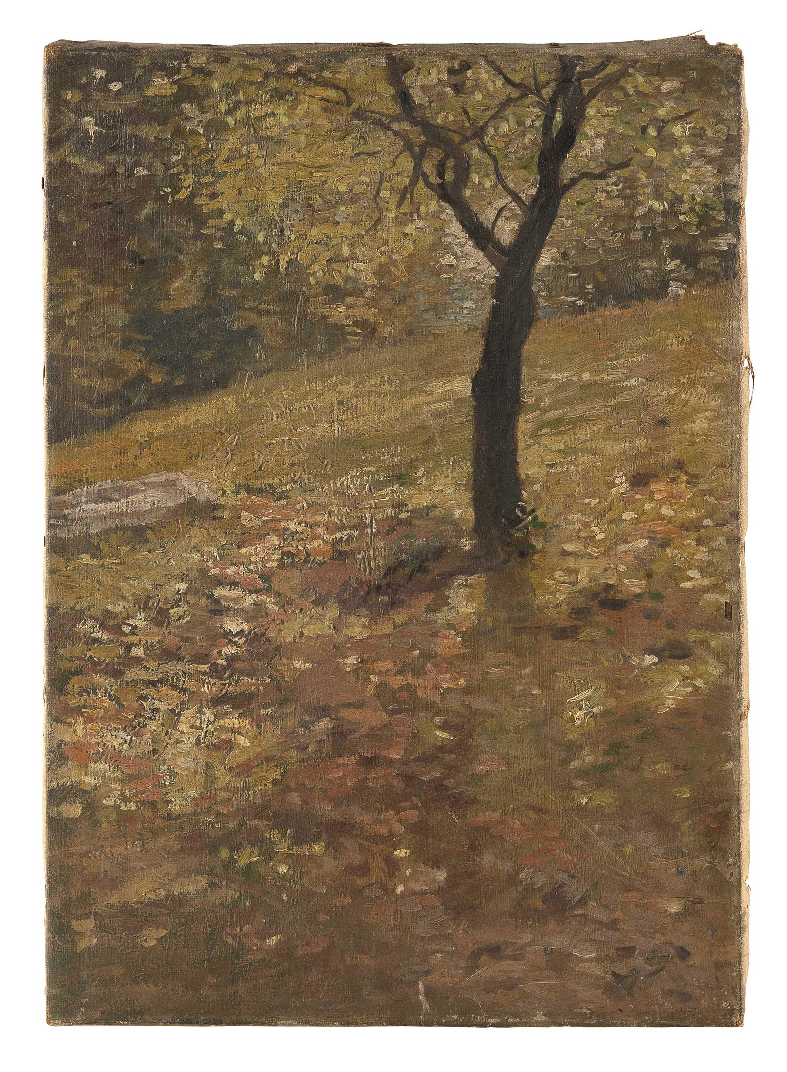 AMERICAN SCHOOL (Dated 1908,), "Flooded Furrows Bronxville Apr 10, 1908"., Oil on canvas, 20" x 14".: AMERICAN SCHOOL Dated 1908 "Flooded Furrows Bronxville Apr 10, 1908". Unsigned. Titled verso. Oil on canvas, 20" x 14". Unframed.