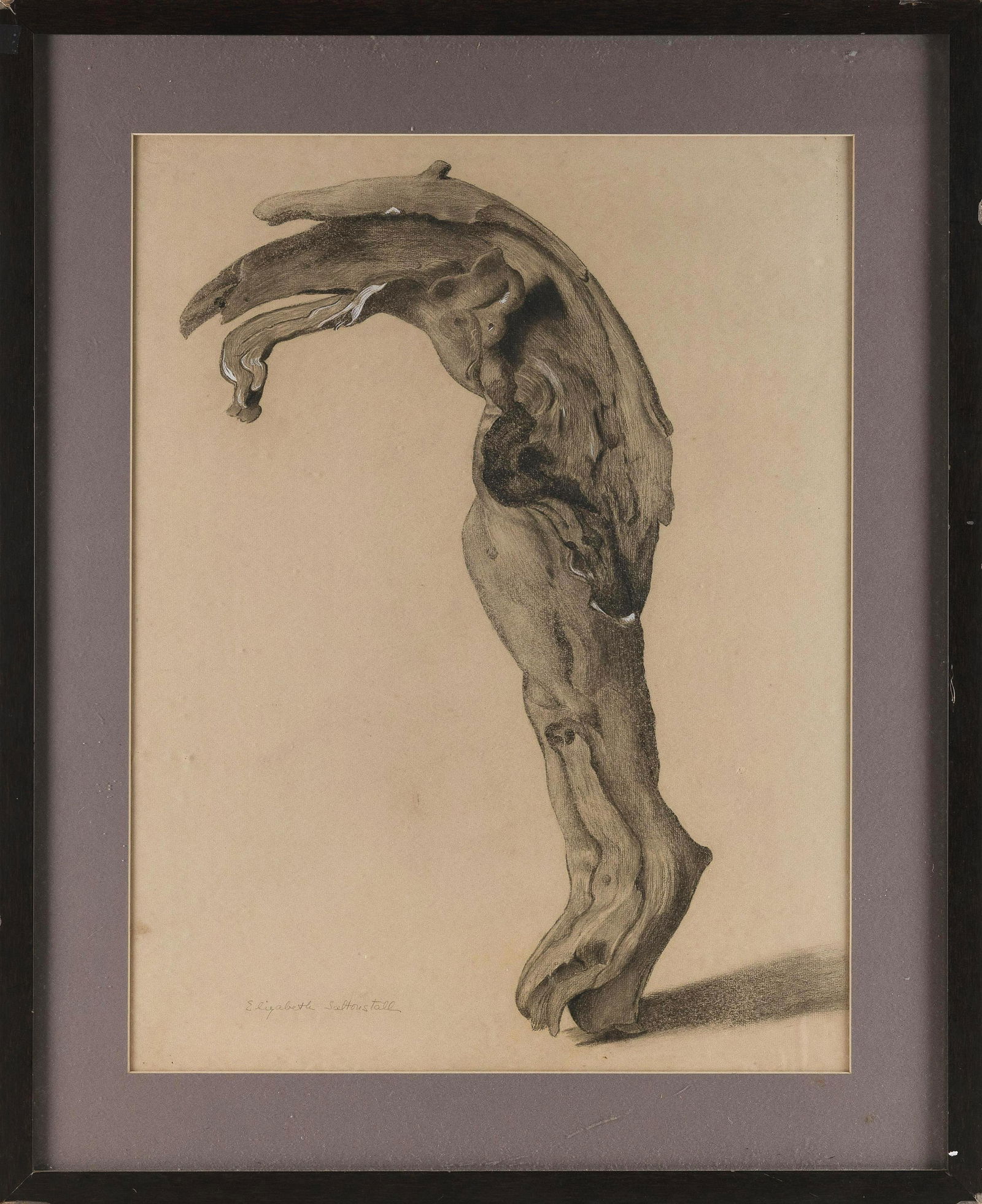 ELIZABETH SALTONSTALL (Massachusetts, 1900-1990), Driftwood study., Mixed media on paper, (1 of 2)