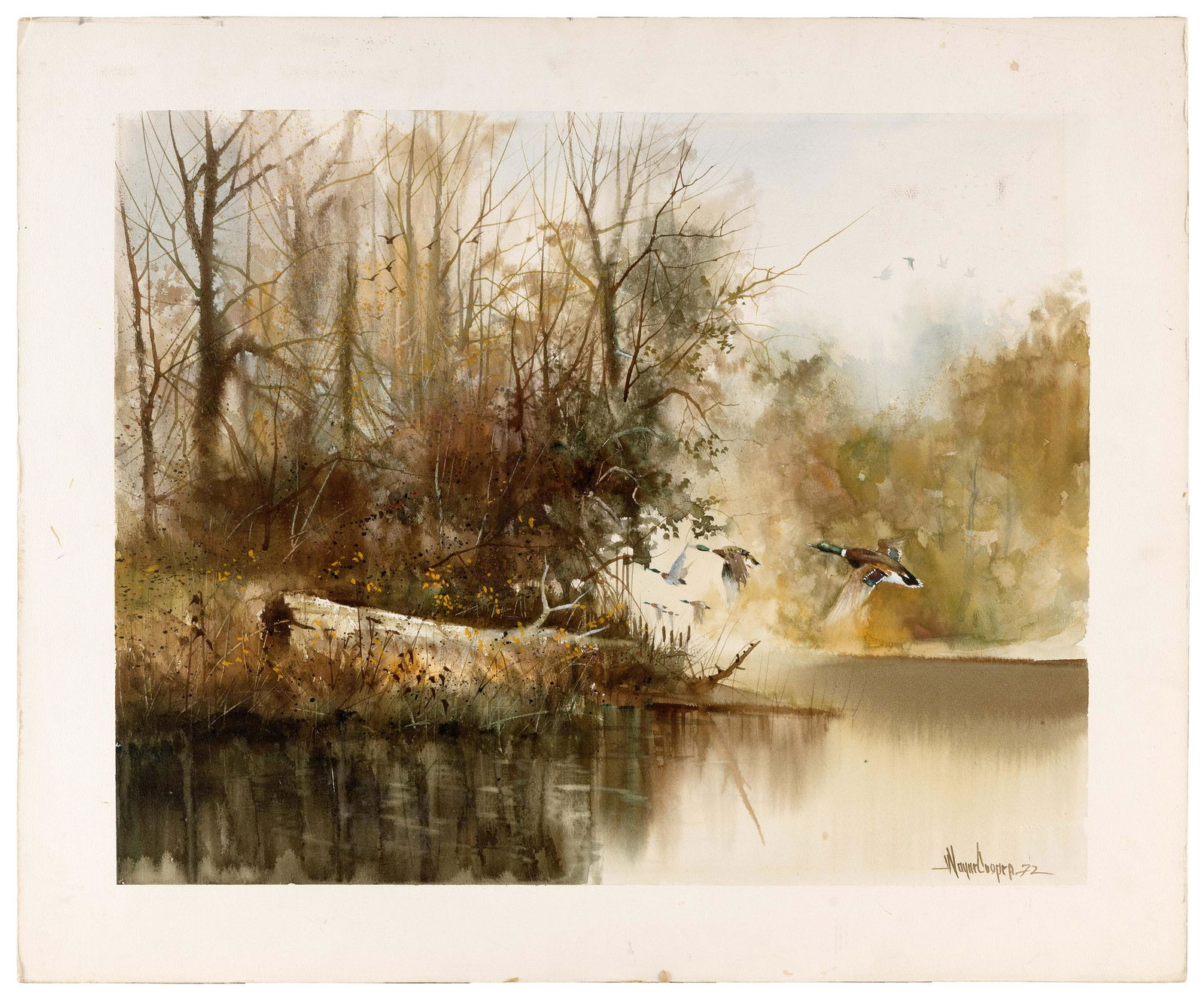 WAYNE COOPER (Oklahoma, 1942-), Mallards in flight., Watercolor, 20” x 24”. Unframed. (1 of 1)