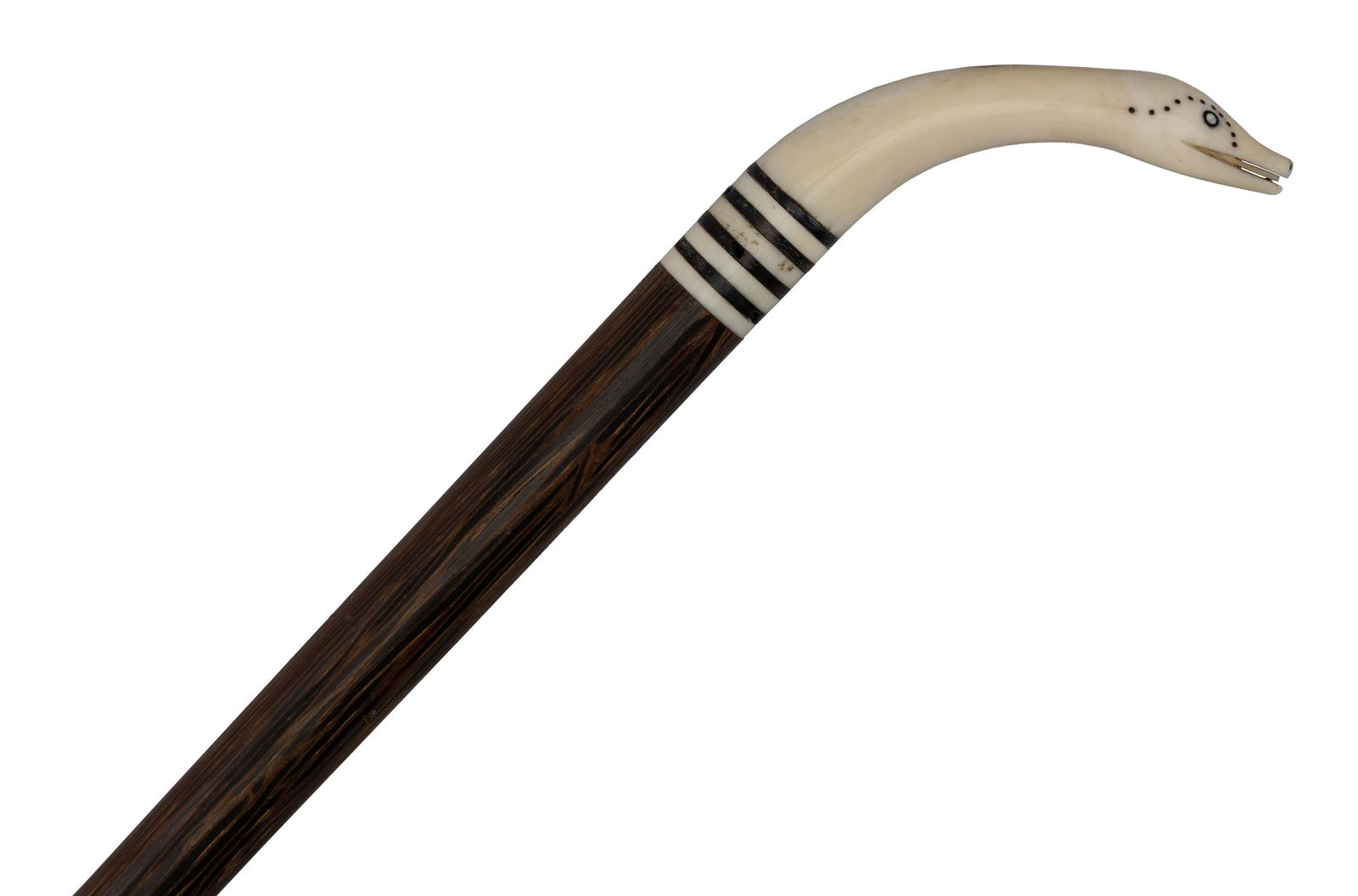 CANE 19th Century Length 35.75".: CANE19th CenturyWalrus ivory snake-form handle. Four baleen bands. Rosewood shaft. Bone ferrule.Length 35.75".