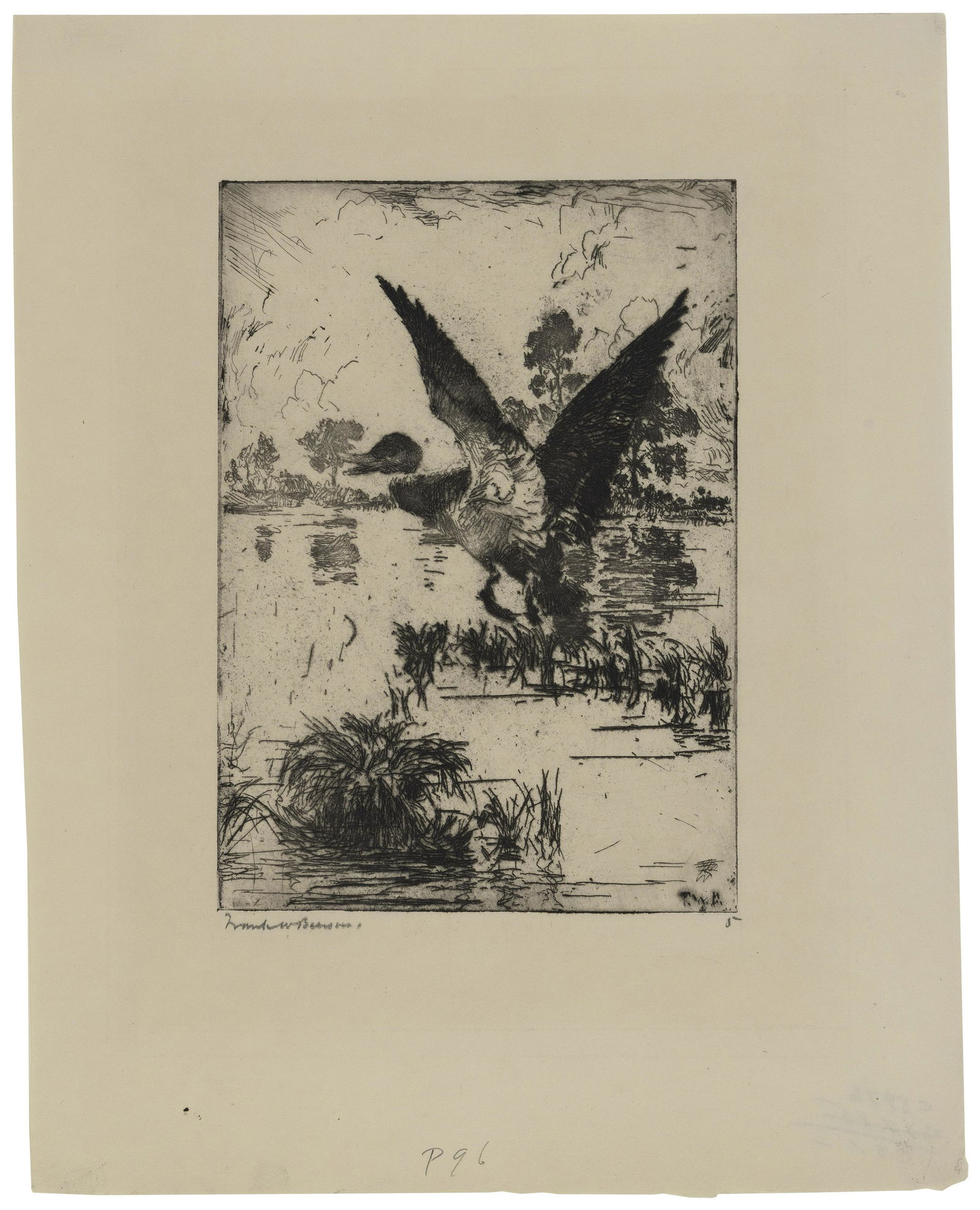 FRANK WESTON BENSON (Massachusetts, 1862-1951), “Mallard Rising”, 1916., Etching on: FRANK WESTON BENSONMassachusetts, 1862-1951“Mallard Rising”, 1916. Edition of 60. Signed in pencil, lower left. A very good, dark impression of this scarce print. Paff 96.Etching on Shogun