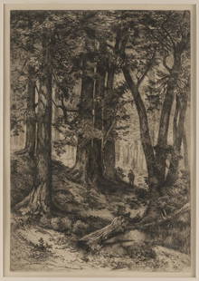 MARY NIMMO MORAN (New York/Scotland, 1842-1899), Interior of a California Forest, 1888., Etching on: MARY NIMMO MORANNew York/Scotland, 1842-1899Interior of a California Forest, 1888. Unsigned.Etching on paper, 12" x 8". Framed 20.75" x 16.75".