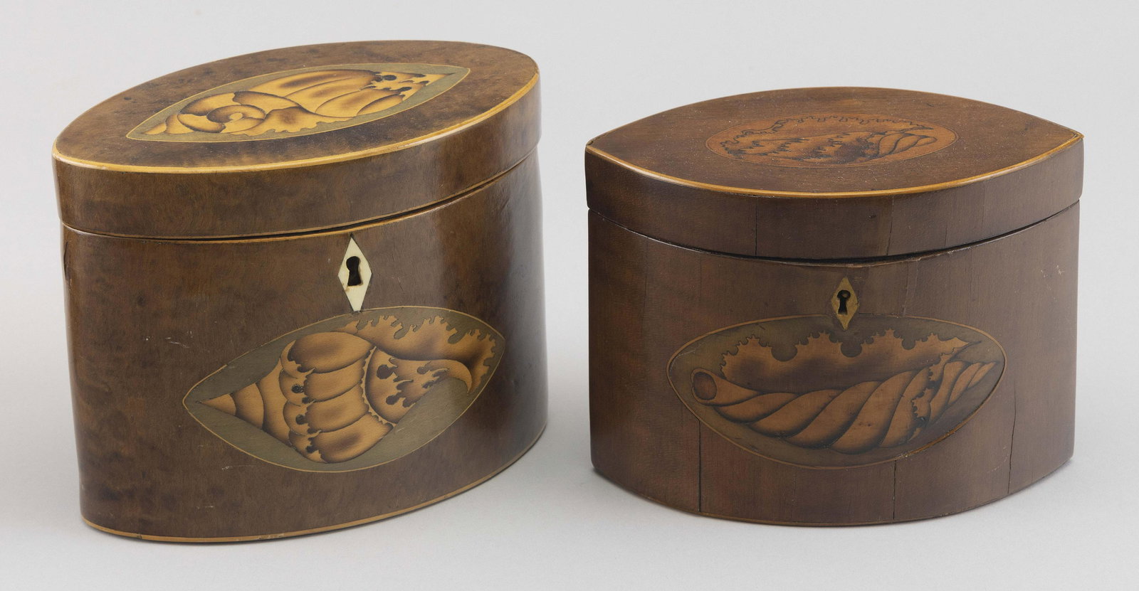 TWO ENGLISH OVAL TEA CADDIES 19th Century Lengths 6î and 6.5î. (1 of 4)