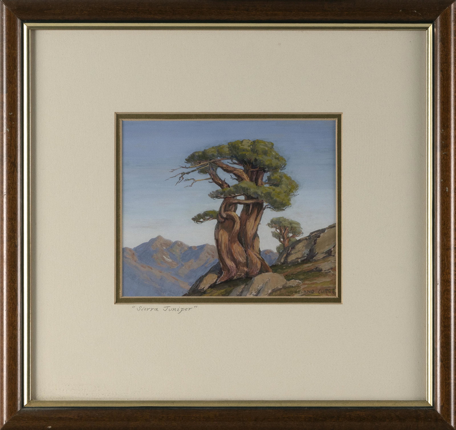 LELAND S. CURTIS (California/Colorado, 1897-1989), ìSierra Juniperî., Gouache on paper,: LELAND S. CURTIS California/Colorado, 1897-1989 ìSierra Juniperî. Signed lower right ìLeland Curtisî. Titled on mat. Gouache on paper, 6î x 7î sight. Framed 14î x 14