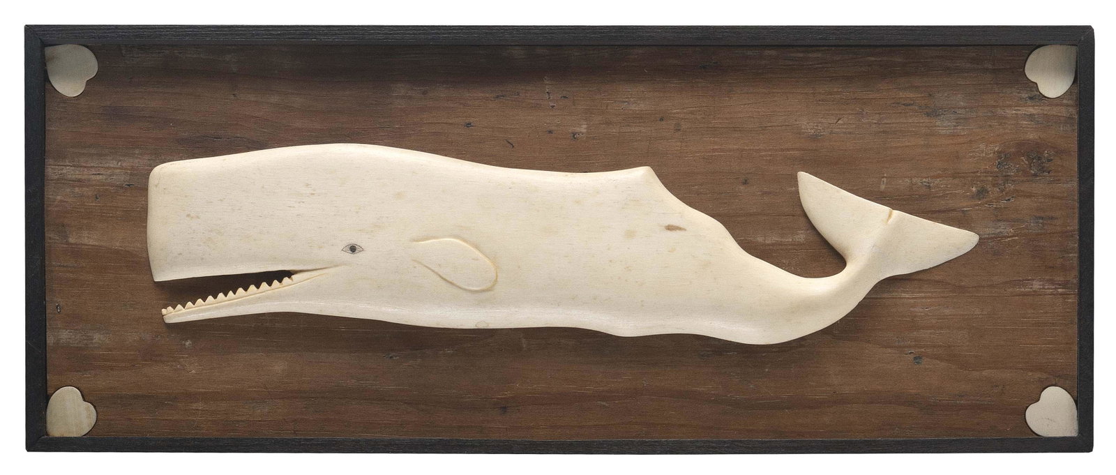 CARVED WHALEBONE SPERM WHALE PLAQUE Late 19th Century Framed 6.5" x 16.75".: CARVED WHALEBONE SPERM WHALE PLAQUE Late 19th Century Well-defined whale with an engraved eye and sharply carved teeth. Mounted on a pine board with whale ivory hearts inlaid at each corner. Housed in