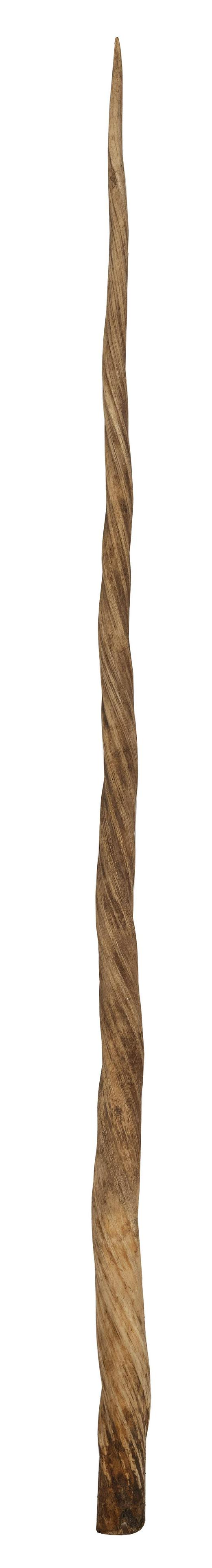 * NARWHAL TUSK Probably 19th Century Length 64.5î.: * NARWHAL TUSK Probably 19th Century Length 64.5Ã®. * Per Federal Regulation, this item may only be purchased by a Massachusetts resident and will not be shipped out of state.