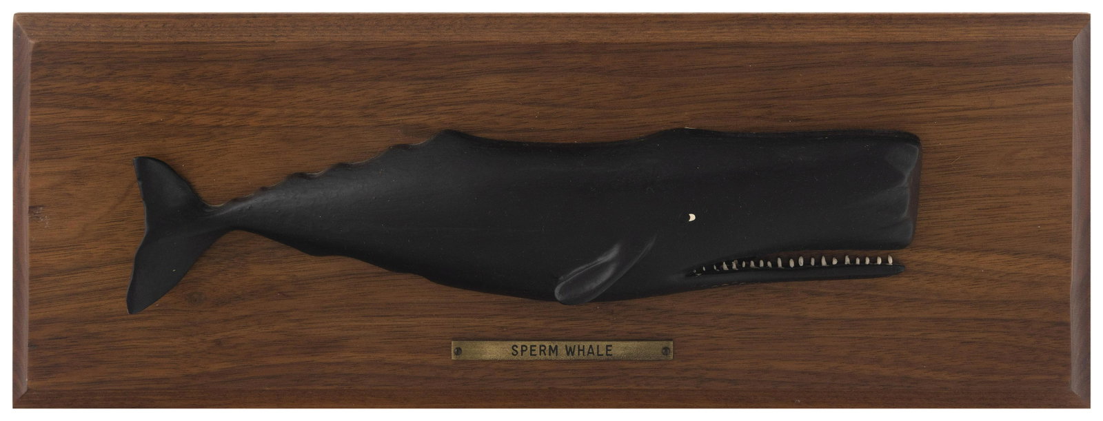 MOUNTED SPERM WHALE PLAQUE BY GUIDO OLIVA Mahwah, New Jersey, 1950s 5.5î x 14.75î.: MOUNTED SPERM WHALE PLAQUE BY GUIDO OLIVA Mahwah, New Jersey, 1950s Nina Hellman notes this $12 purchase was the first item in Bob Hellmanís whaling collection. Unsigned. Additional information a