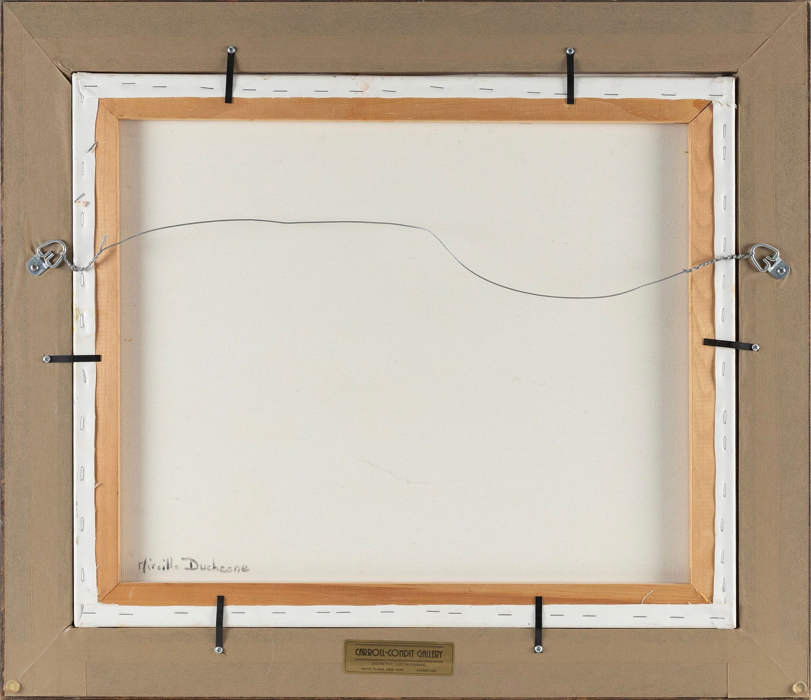 Mireille Duchesne (new York/france, Contemporary), Still Life Of Onions