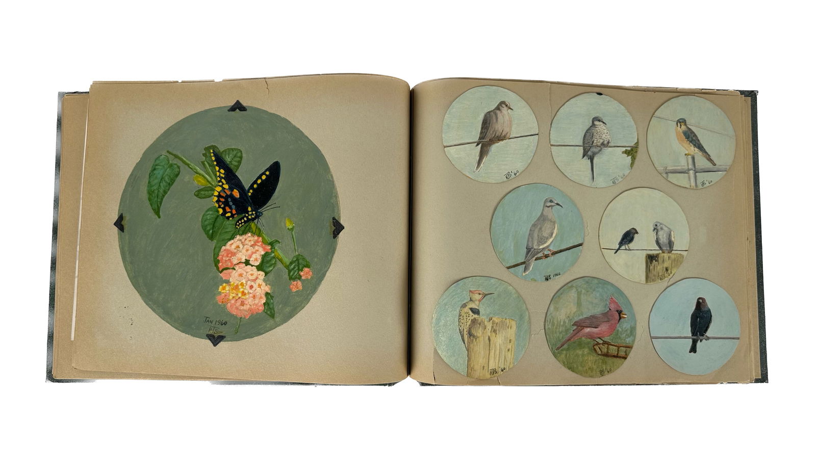 PORTFOLIO OF APPROX. TWENTY-FIVE MIXED MEDIA BIRD STUDIES America, Circa 1960 Most round, diameters (1 of 4)