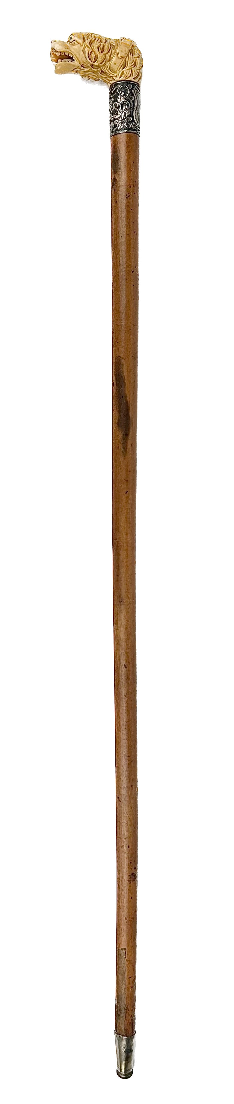 FEARSOME DOG CANE Late 19th/Early 20th Century Length 37".: FEARSOME DOG CANE Late 19th/Early 20th Century Ivory handle carved as a long-haired collared dog baring its teeth and lolling tongue. Inset yellow and black glass bead eyes. RepoussÈ silver colla