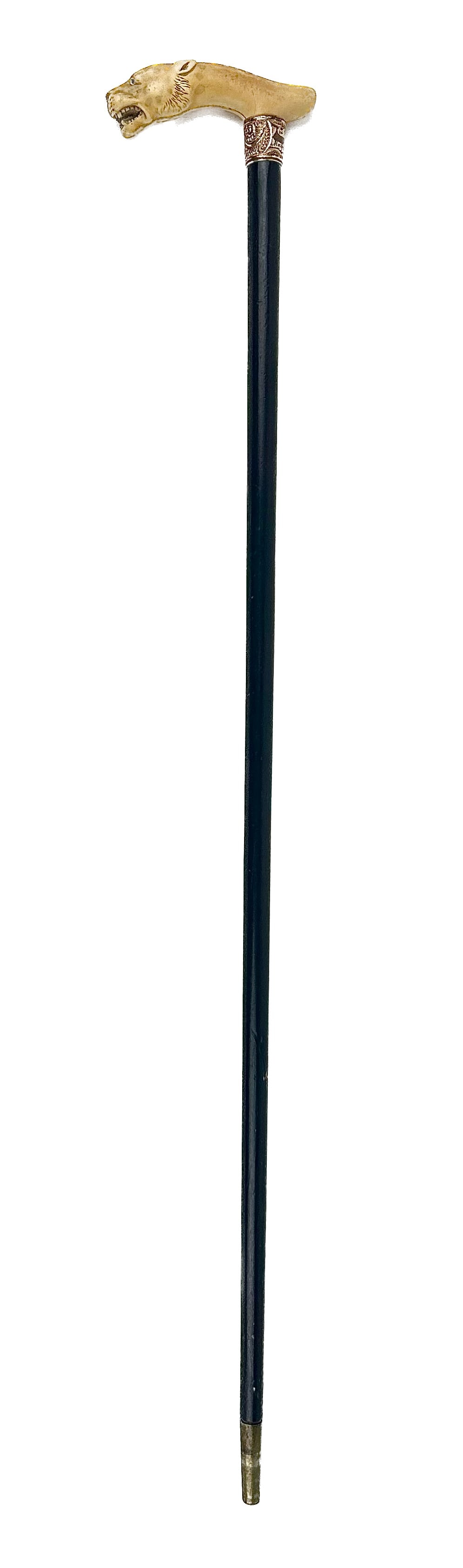 FEARSOME LEOPARD CANE Early 19th Century Length 32.5".: FEARSOME LEOPARD CANE Early 19th Century Ivory handle carved and inked as a leopard baring its teeth and with its ears pinned back. Subtly spotted. Glass eyes. Unmarked gold metal collar with presenta